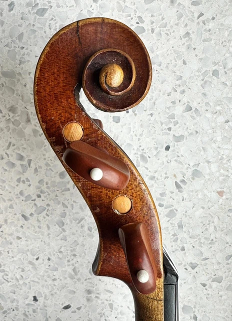 Alte Geige Violine 4/4 Sesto Rocchi 1959 fine violin labeled 8