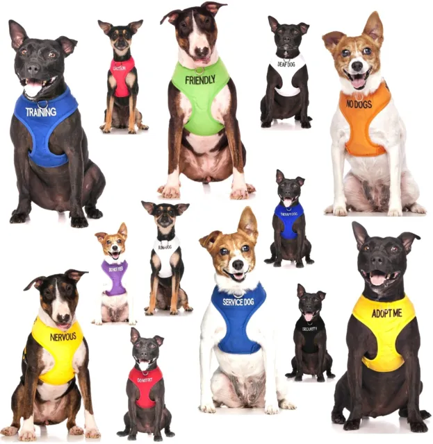 Padded Waterproof New Alert Vest Pet Dog Harness Front Back Ring Non Pull or Set