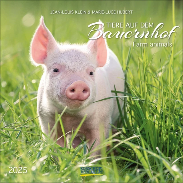 TIERE AUF DEM Bauernhof 2025 Verlag Korsch Kalender 13 S. Deutsch 2025