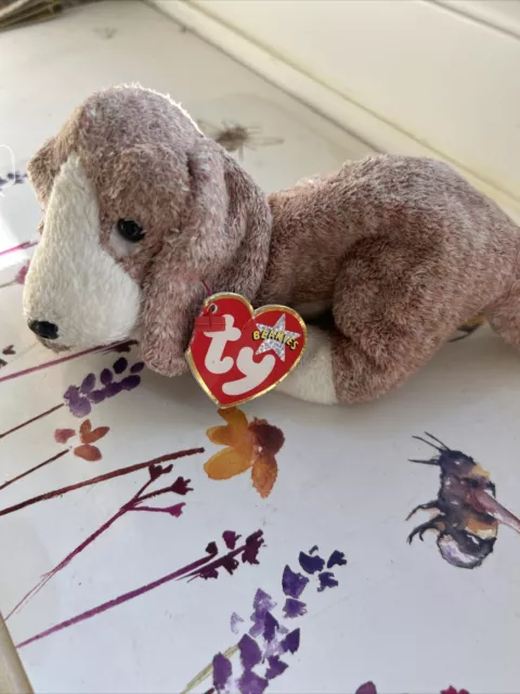 TY BEANIE BABY SNIFFER - BEAGLE HUND mit Etikett