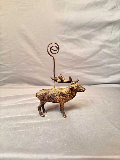 Trophée De Chasse Cerf - Pied D'Honneur Rally Malamort 2003 - Taxidermie