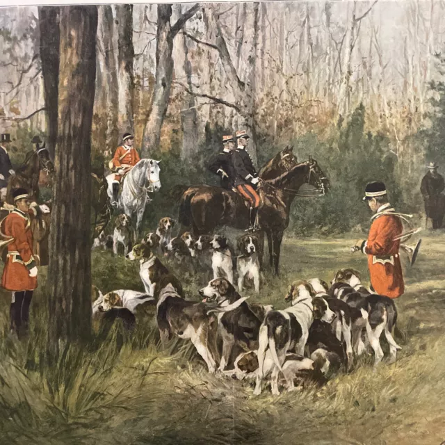 Charles Olivier De Penne Hunting Hounds Original 1897  Lithograph  Art Print