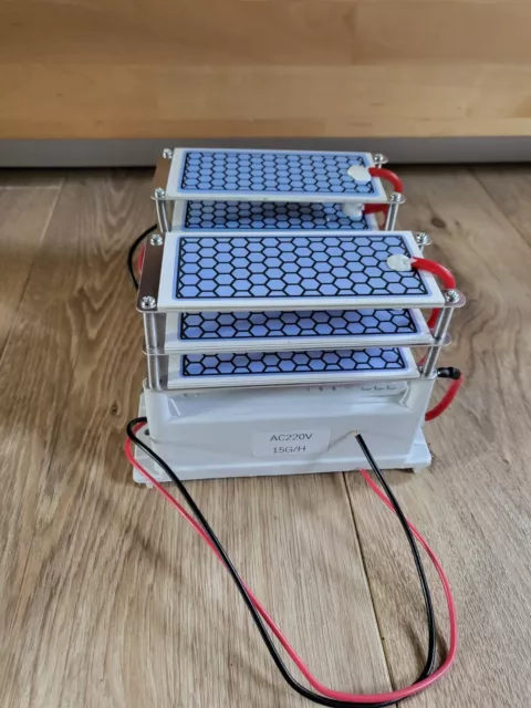 Ozoniseur de purificateur d'air de générateur d'ozone en céramique 15G/H 2