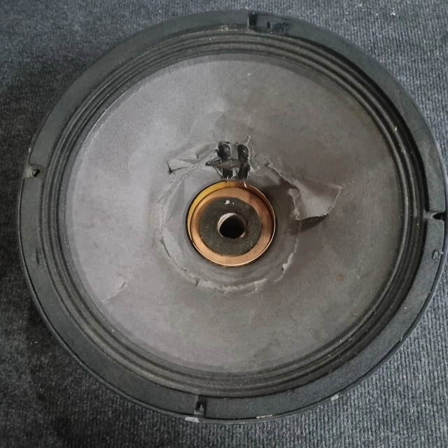 BLOWN JBL 2020HPL 12" Driver Speaker 8 Ohms 300 Watt Sub Bass PA Woofer