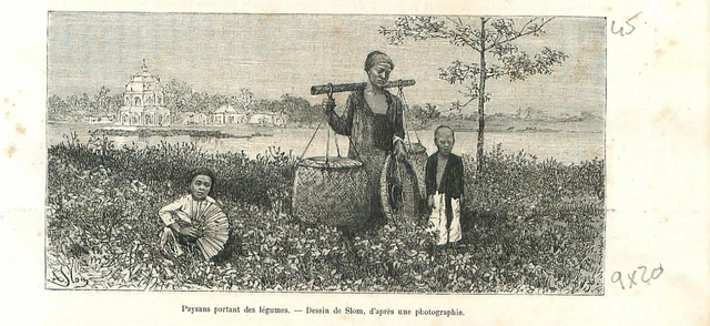 Paysans légumes bord du fleuve Rouge au Vietnam Annam Tonkin Asie GRAVURE 1889