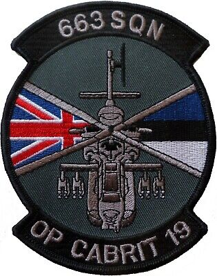 Armée Britannique Boutons Manchette en Boite AAC 670 Escadron Aac Armée Britannique Boutons Manchette en Boite AAC 670 Escadron Aac