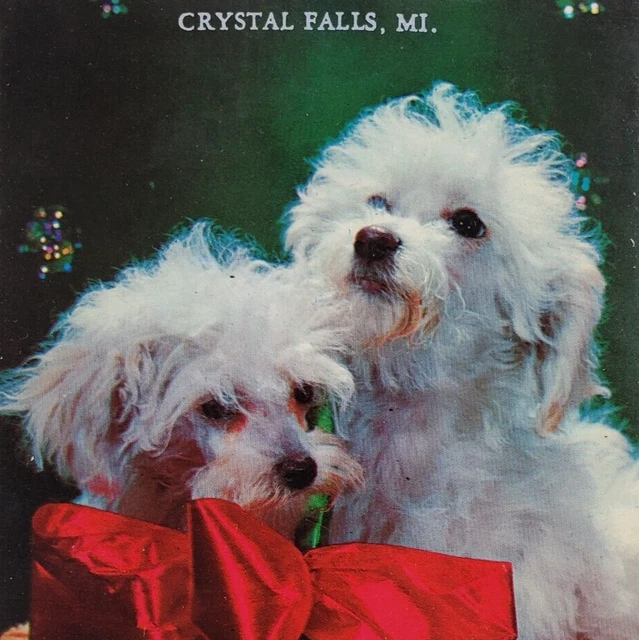 Gift Basket Dogs Bow Postcard 1970s Crystal Falls Michigan Vintage Puppies A973