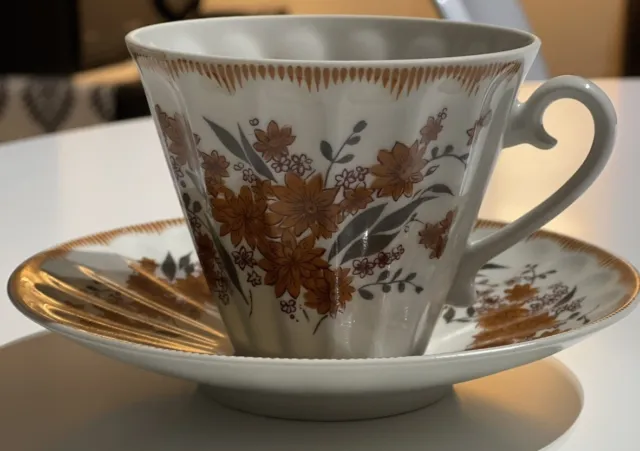Vintage Lomonosov porcelain tea cup and saucer