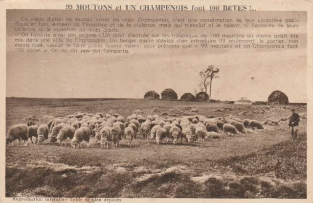 Y443 CPA 51 Marne  99 moutons et un Champenois font 100 Betes