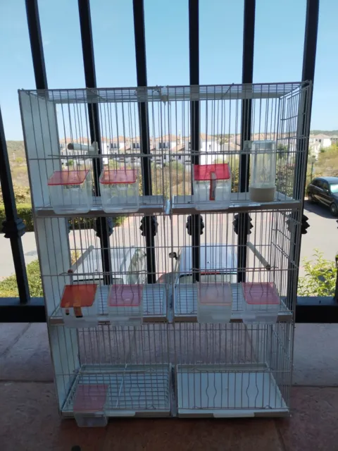 Bird Cage 35 3 Paseos Departamento 6
