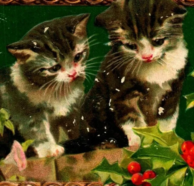 Adorable Gatos Un Joyful Navidad Acebo 1908 Relieve DB Tarjeta Postal E12