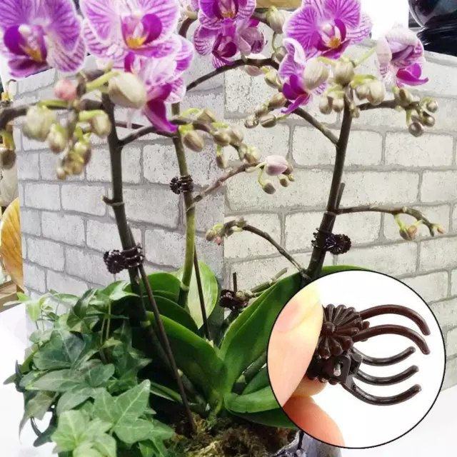 Plastic orchid and vine clip Orchid Clips Plant Support Vine- Stem Garden Z3E5