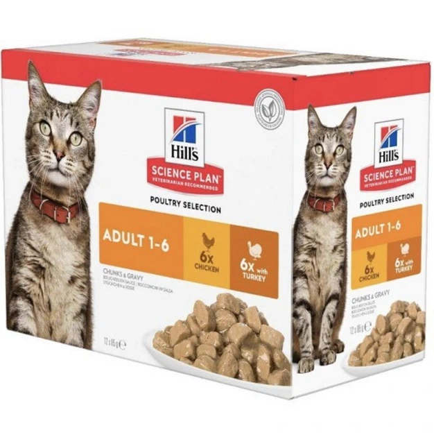 Hill's Science Plan Kitten Chicken & Ocean Fish in Gravy Wet Cat Food *12 x 85g*