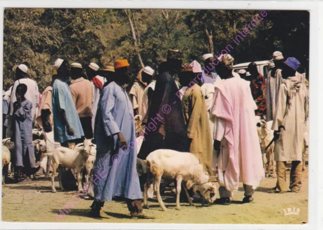 CPM AFRIQUE Marché chèvres Edt IRIS ca1985