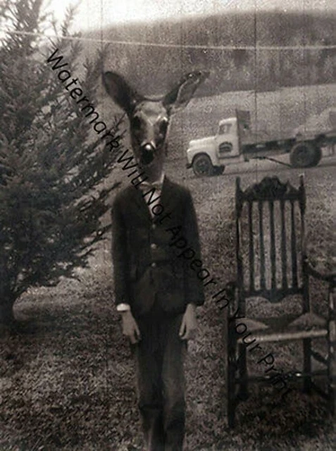 SPOOKY WEIRD FREAKY STRANGE ODD CREEPY Deer Head Human VINTAGE PHOTO D8