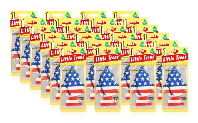 Little Trees Air Freshener Car Home Office Air Freshener (4 Pack) Every  Scent