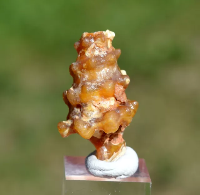 Quarz Var. Chalcedon & Mogánite 7 Gramm - Oued Ed-Dahab Provinz, Marokko,
