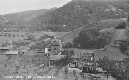 Birds Eye View Ramona Tract San Anselmo California CA Reprint Postcard