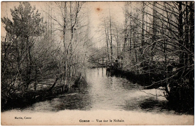 CPA 58 - COSNE (Nièvre) - View of Nohain