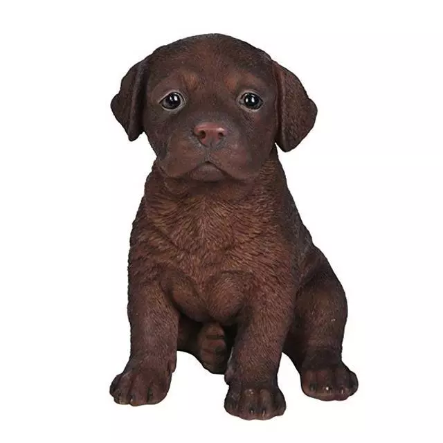 NEW Chocolate Labrador Puppy Pet Pals Vivid Arts