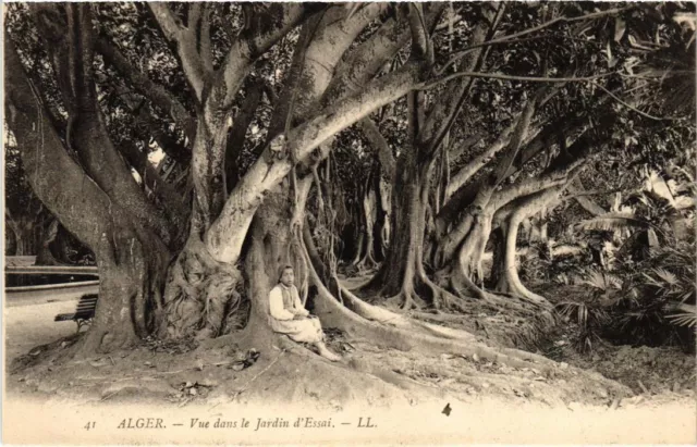 CPA AK ALGERIA ALGER Vue dans le Jardin d'Essai (1189880)