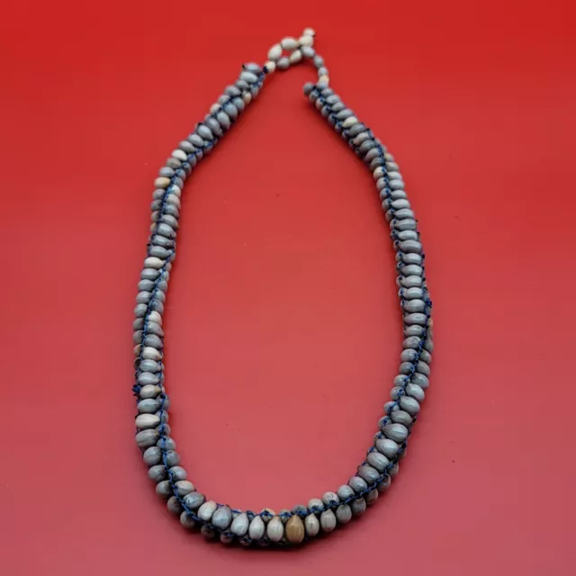 Sea Shell Necklace Primitive Fashion Papua New Guinea Fine Art Vintage Blue Gray