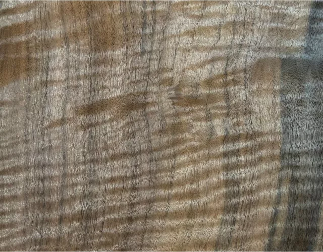 Walnut Claro Circassian Figured wood veneer 12" x 12" raw no backing 1/42"