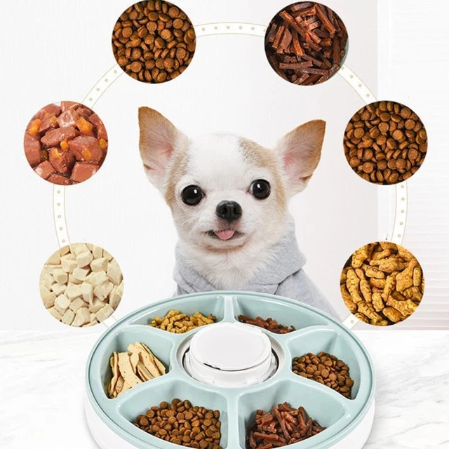 Automatic Programmable Cat Pet Feeder 6x128ml Meal Timing Voice Record Meal Call 2
