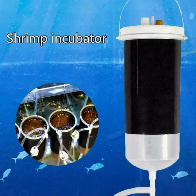 Brine Shrimp Incubator Fish Food Baby Fish Feed Fairy Shrimp Hatch Egg