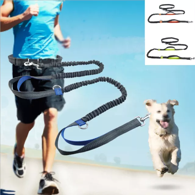 Leash Traction Rope Pet Dog Running Belt Freely Jogging Pull Dog Leash Harness