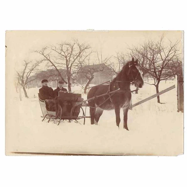 Edwardian Men Riding in a Horse Drawn Sleigh Vintage Photograph c1910