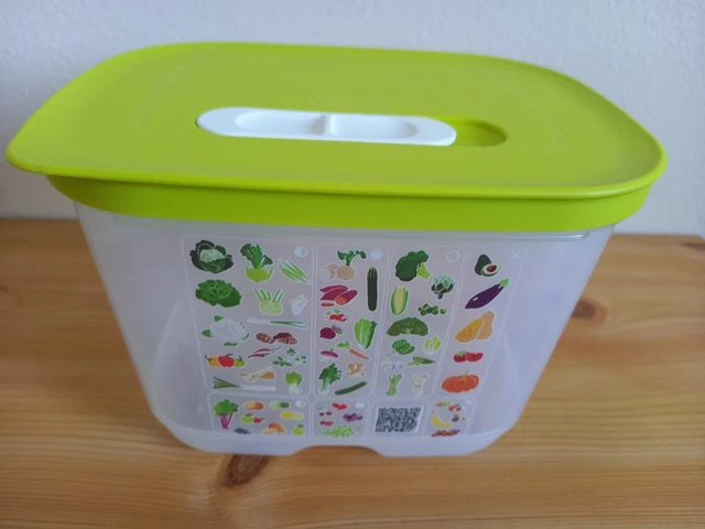 Lot de boites congélation Tupperware neuves
