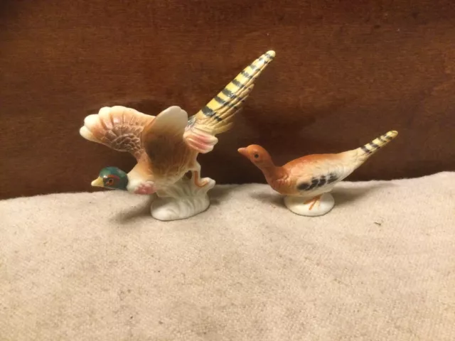 Vintage Pair Bone China Miniature Male & Female Pheasant Figurines-Unmarked