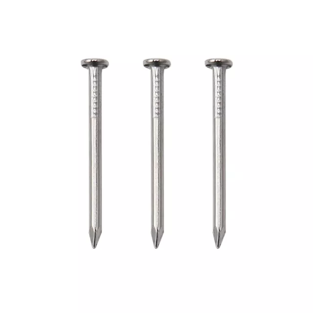 500pcs Hardware Nails 1 Inch Nickel Plated Hanging Nails, Wall Nails, Picture