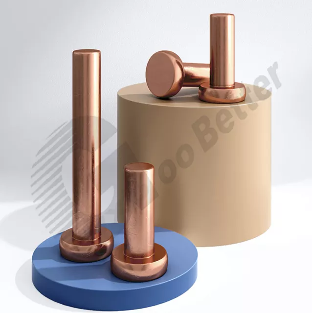 M2 M2.5 M3 M4 M5 M6 M8 Kupfer Solide Nieten Flachkopf-Vollnieten aus Kupfer