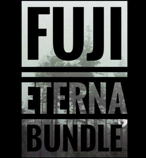 LOT DE FILMS cinéma Fuji Eterna 500T Vivid 250D F-64D DX codés