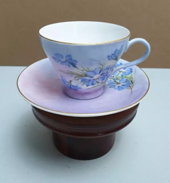 Vintage Cup And Saucer Royal Grafton