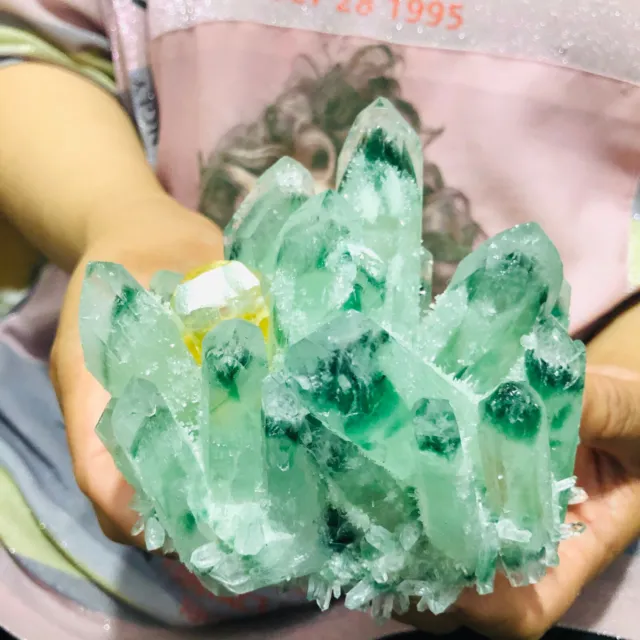 1.62LB New Find Green Phantom Quartz Crystal Cluster Mineral Specimen Healing
