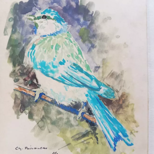 Carte postale papier aquarelle avec enveloppe photo oiseau mésange ble –  Regards Naturalistes