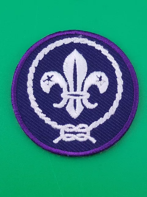 Cub Scouts World Crest Uniform Patch With Felt Back BSA Boy Scouts America