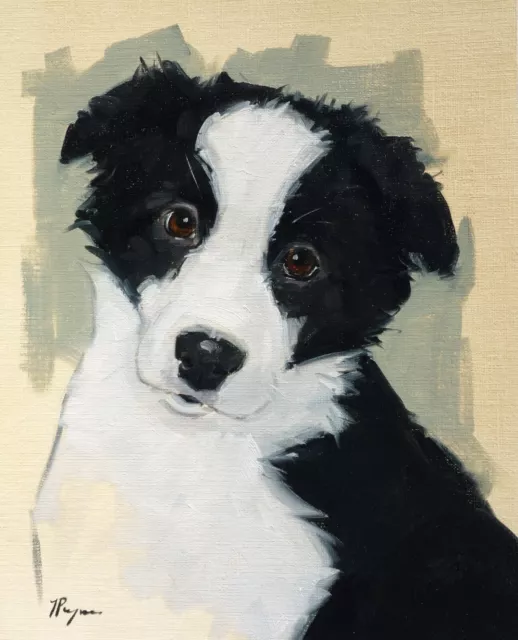 Original art - Oil painting - border collie puppy - dog portrait by j payne