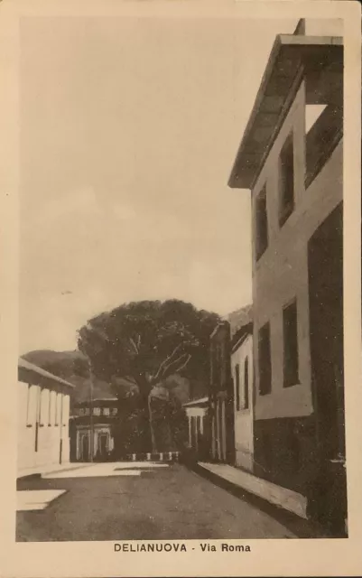 Delianuova (Reggio Calabria) cartolina viaggiata 1925