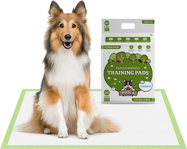 Pogi'S Training Pads (40-Pezzi) (60X90Cm) - Taglia Extra Large, Super Assorbente