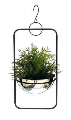 1er Titulaire de la Plante Pot de Fleurs Remorque Nature iMP Bambou Fleurs Ampel 