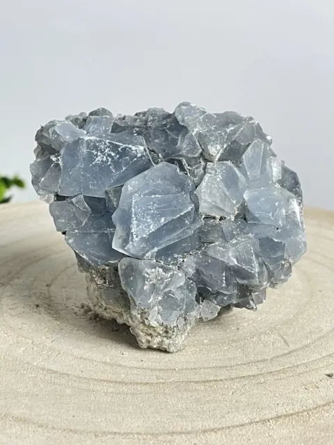 Natürliche, Himmlische Celestite-Kristalle auf Muttergestein - Ein Geschenk der