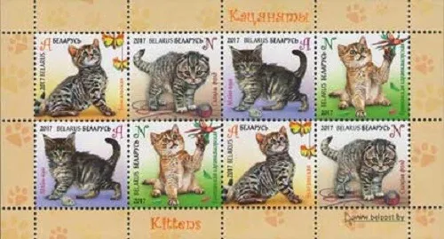 2017 Belarus Fauna Kittens MNH