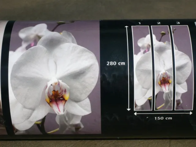 Signeo Stimmungsbild "Orchidee" Vliestapete Wandgestaltung