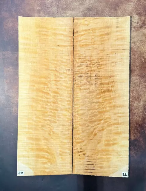 Muschelahorn Droptop 4A |  Quilted Maple Droptop 4A | Tonholz | Tonewood | #22