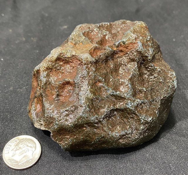 Rare Rough Botswana Agate whole nodule “THE STONE PRUNE” 8.8 Ounces B2