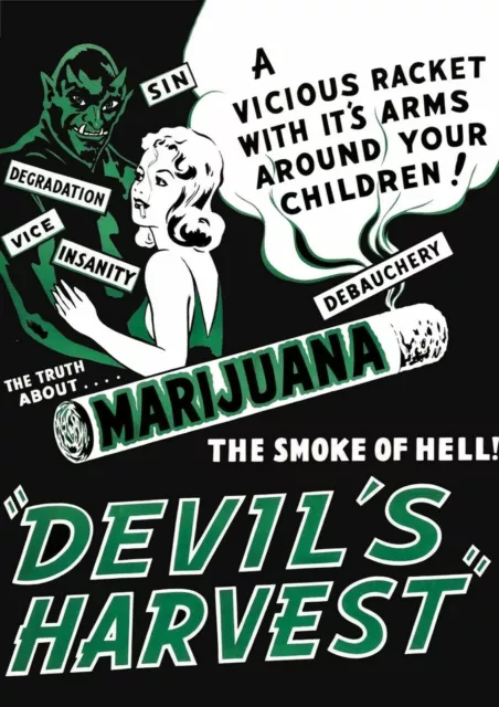 385477 Devils Harvest Vintage Cannabis Marijuana Movie WALL PRINT POSTER US